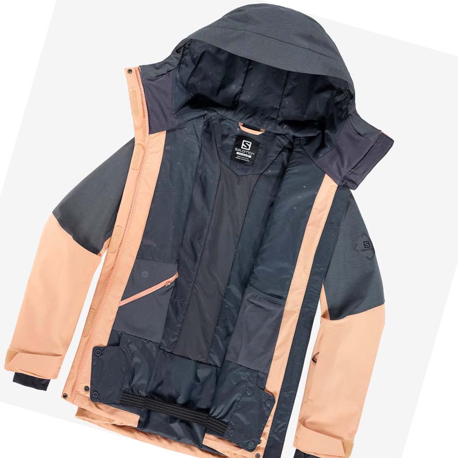 Chaquetas De Esquí Salomon PROOF LIGHT Mujer Marrom | MX 2425DFM